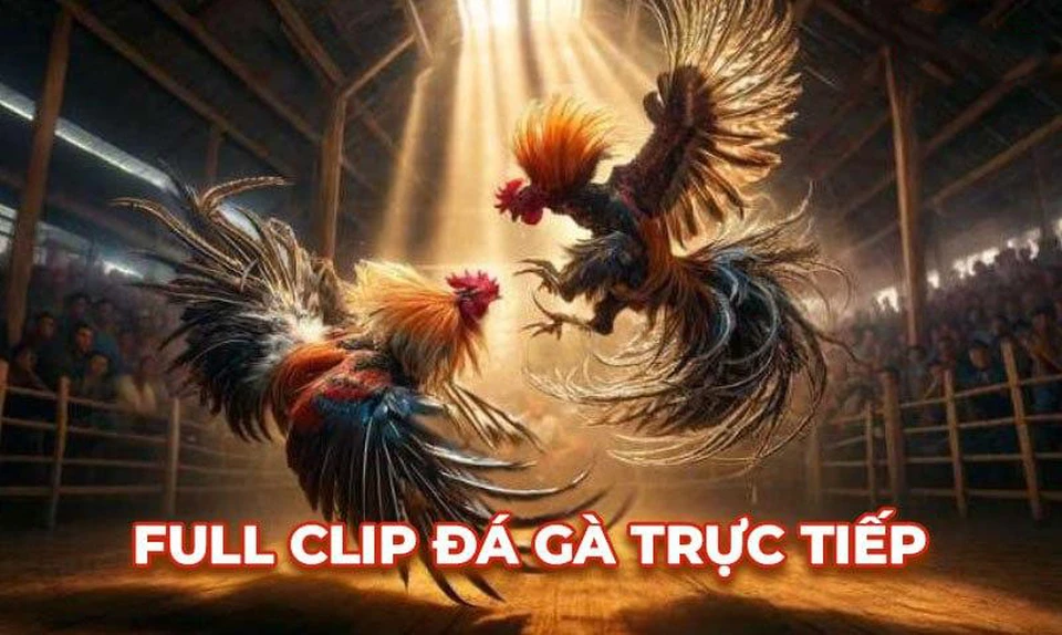 Nạp – rút tiền an toàn, nhanh chóng